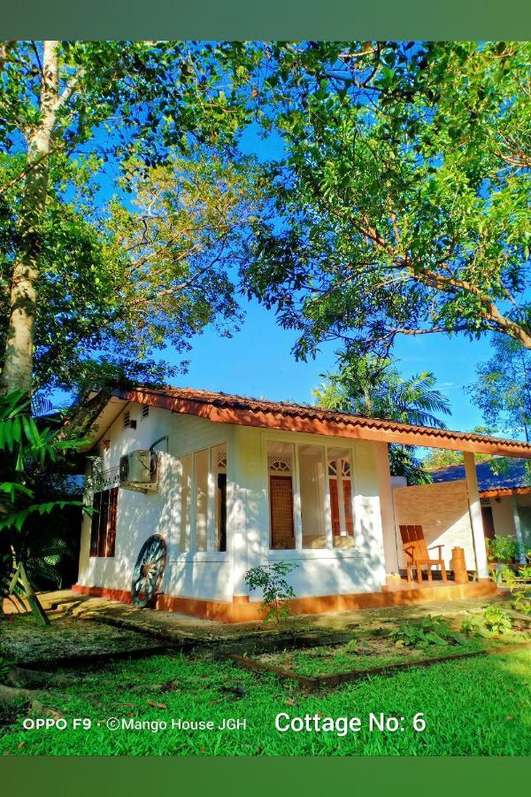Mango House Japanese Guest House Negombo Zewnętrze zdjęcie