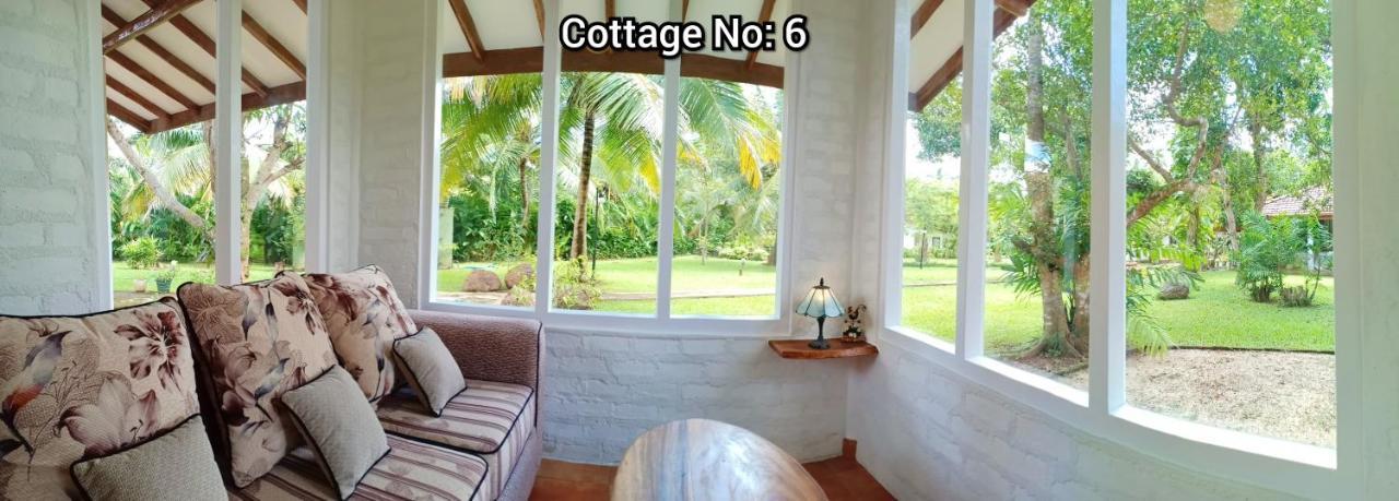 Mango House Japanese Guest House Negombo Zewnętrze zdjęcie