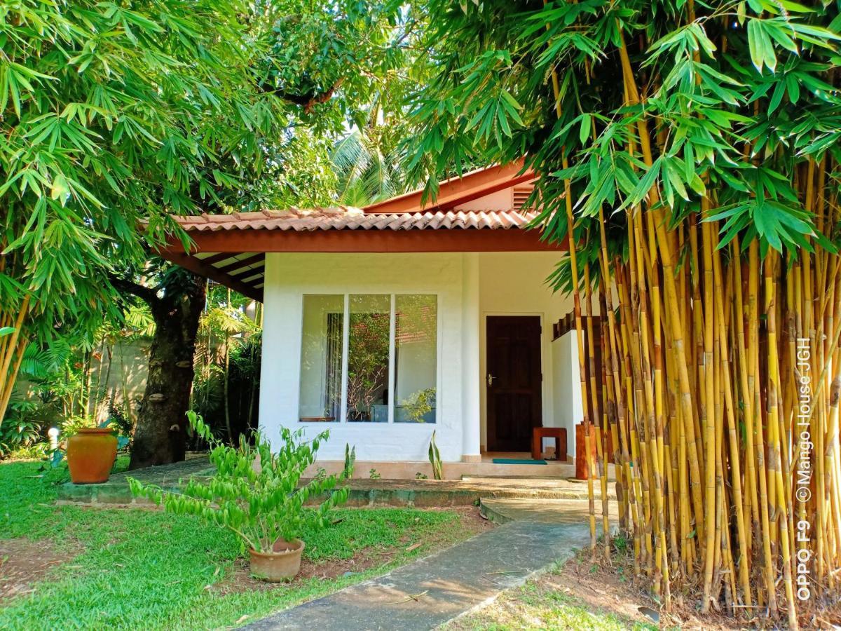 Mango House Japanese Guest House Negombo Zewnętrze zdjęcie