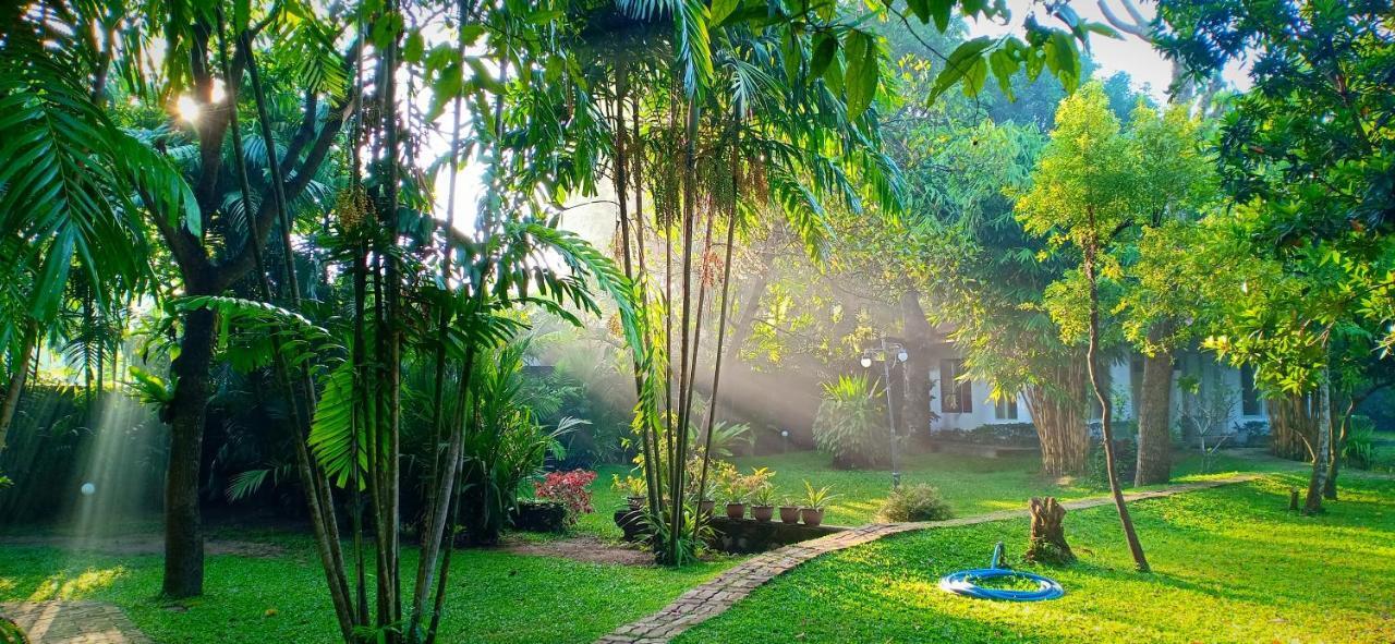 Mango House Japanese Guest House Negombo Zewnętrze zdjęcie