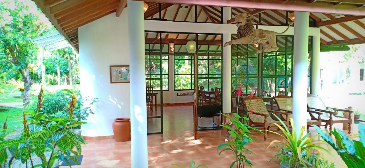 Mango House Japanese Guest House Negombo Zewnętrze zdjęcie