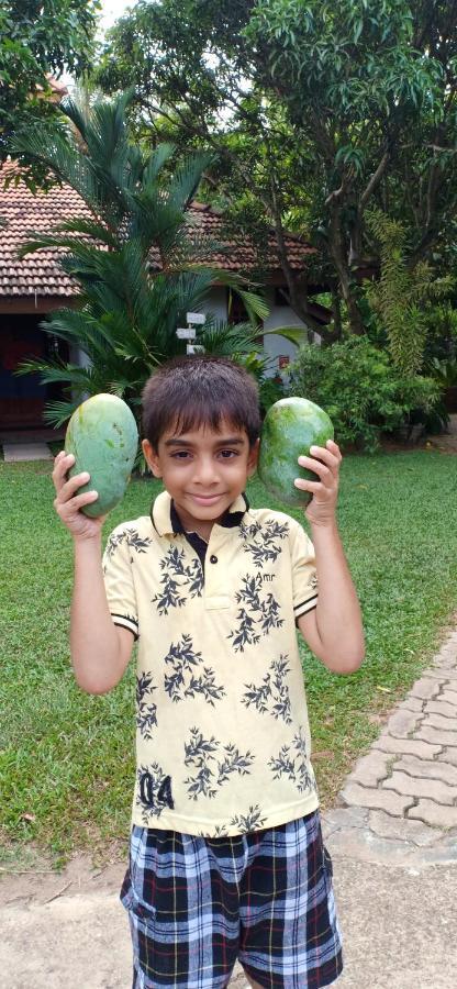 Mango House Japanese Guest House Negombo Zewnętrze zdjęcie