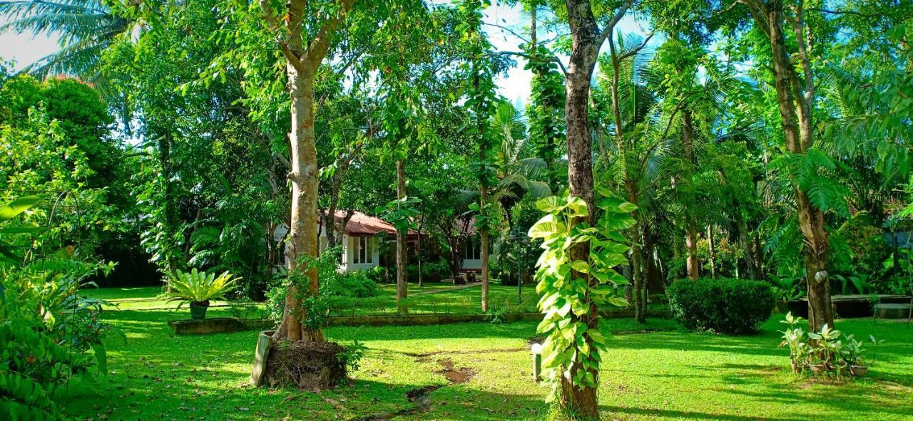Mango House Japanese Guest House Negombo Zewnętrze zdjęcie